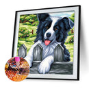5D DIY Full Drill Diamond Painting Dog Cross Stitch Embroidery Mosaic Kit Newly