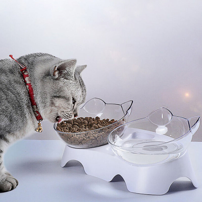 Double Cat Bowls, Raised Pet Tilted Stand Food Water Feeder Bowls for Kitten Cat