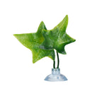 Oviposition Leaves Betta Leaf Fish tank Plants Simulation Aquatic Plants