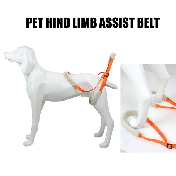 Dog Pet Lift Support Harness Dog Lifting Belt Dog Walking Pet Auxiliary Belt