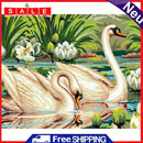 Painting By Numbers DIY Kit Swans Canvas Oil Art Picture Home Wall Decor Artwork