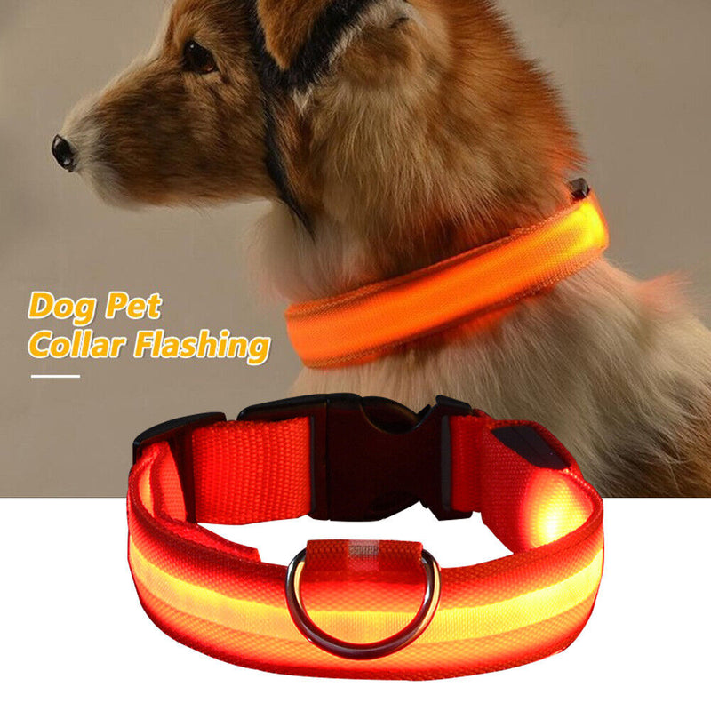 Dog Cat Luminous Necklace Large Medium Small Dogs Anti Lost Harness Accessori