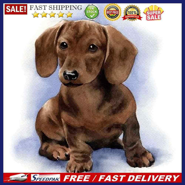 Frameless Painting By Numbers Dog and DIY Handmade Drawing On Canvas Craft Gi