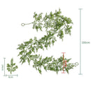 Hanging Ornament Garland Wreaths Green Plants Pine Tree Cane Christmas Vine
