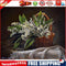 Frameless Oil Paint By Numbers Flowers DIY Canvas Picture Craft for Home