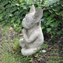 Zen Dog Statue Micro Landscape Stone Sculptures Meditation Dog Sculpture