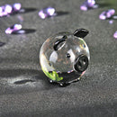 Zodiac Pig Crystal Diamond Birthday Gift Home Office Ornaments (Black) Newly