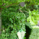 Bird Art Decor Silhouette S-shaped Hanging Hook Garden Gift Yard Best Decor E8V6