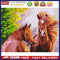 Hand Painted DIY Relax Horse Painting By Numbers Digital Oil Art Picture Decor