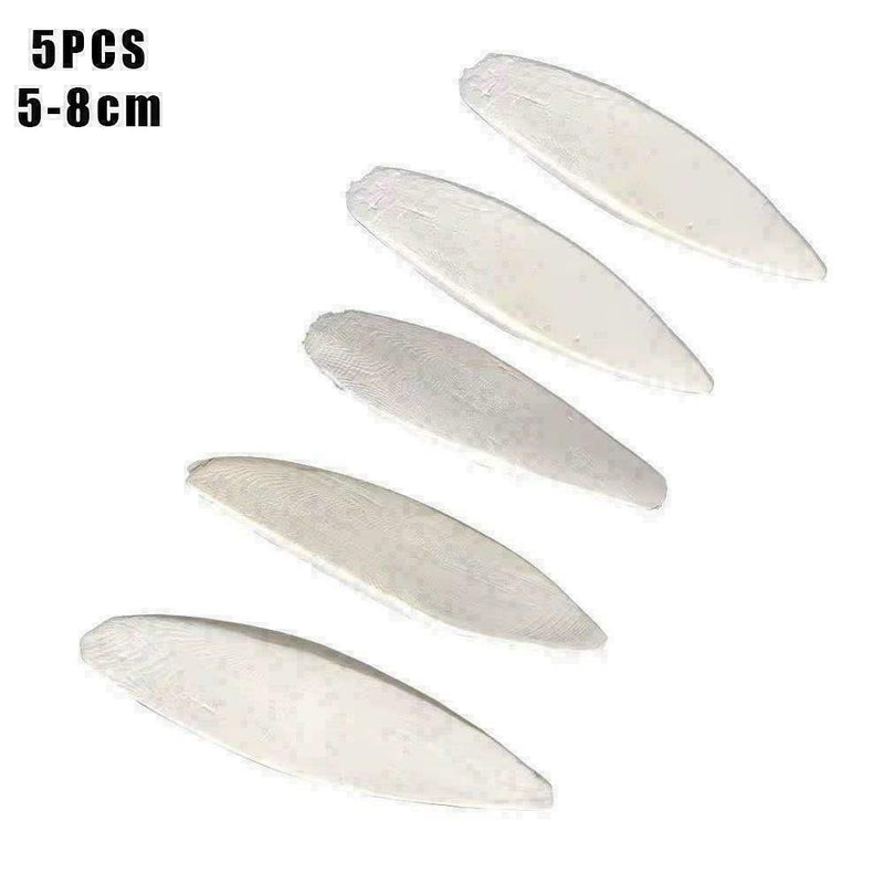 5Pcs/Set Cuttlefish Bone Cuttle Fish Bird Food Calcium HOT R9Y2 F Reptiles C6S1