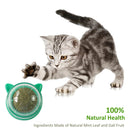 Catnip Ball Cat Toys Licking Teeth Chewing Pet Training Bite Balls (Green)