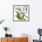 17x17cm Needlework Kit DIY Cross Stitch 14CT Stamped (H453 White Flower)