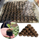 30mm Jiffy Peat Pellet Grain Starting Tray Plug Nutrient Soil Block (5pcs) Newly