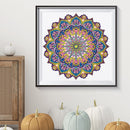 Partial Drill 5D Special Shape Diamond Painting Abstract Mandala Kit (X054)