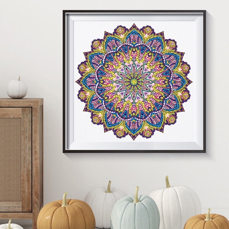 Partial Drill 5D Special Shape Diamond Painting Abstract Mandala Kit (X054)