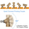 5pcs Spray Nozzle Tips 1/4 with Pivoting Coupler Pressure Washer Accessories Kit