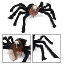Halloween Giant Spider Web Spider /Witch Outdoor Scary Party Prop Decor`