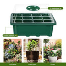 10pcs Seed Starter Tray Kit Garden Nursery Seedling Germination Box (Green)