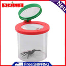 Insect Feeding Experimental Observation Box Magnifier Kids Educational Toys