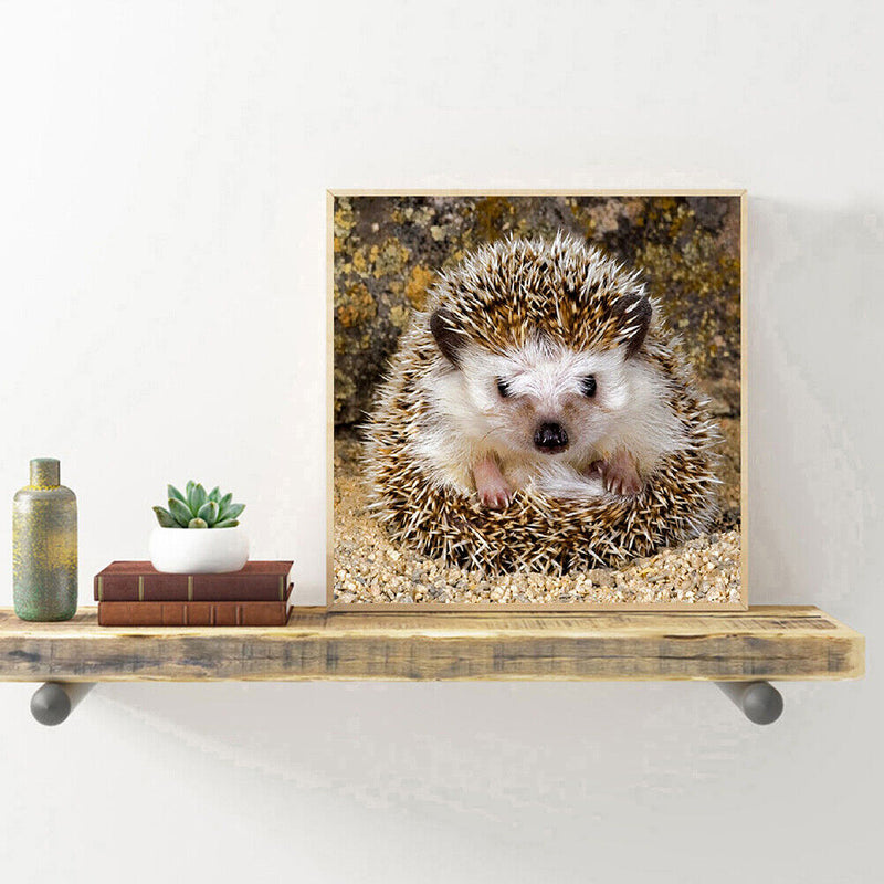 5D DIY Full Round Drill Diamond Painting Hedgehog Color Handmade Needlework Sets