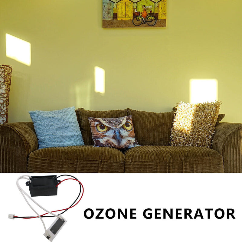 Ozone Generator DC 5V/12V 100mg Water Air Purifier Clean for Aquarium Fish Tank