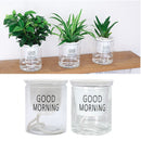 Self-watering Flowerpot Hydroponic Automatic Water Absorption Flower Pot