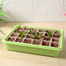 Seedling Starter Tray, Germination Pot Tray Kit for Seedling, Seed Growing Newly