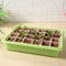 Seedling Starter Tray, Germination Pot Tray Kit for Seedling, Seed Growing Newly
