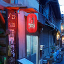 25cm Painting Lantern Japanese Style Fabric Hanging Restaurant Decor (E) Newly