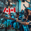 Mini Handheld Flags Diamond Painting National Flag with Pole (Canada)