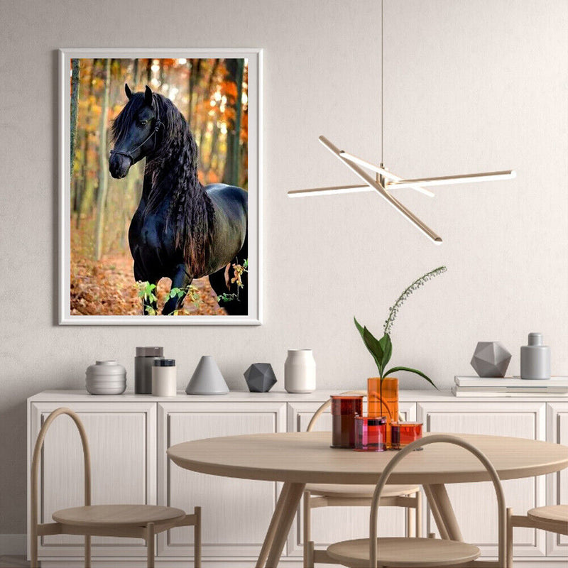 Black Horse DIY Zero Basis Paint by Number Kits Kill Time Picture Colouring