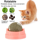 Gall Nut Healthy Rotatable Pet Food Cat Energy Ball Kitten Snacks Catnip Sugar
