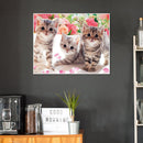5D DIY Diamond Painting Full Drill Flower Kittens Embroidery Animal Mosaic