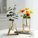 Triangle Rectangle Pentagram Heart Iron Art Glass Test Tube Hydroponic Vase
