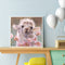 Cute Animal Oil Paint By Numbers Kit DIY Acrylic Painting Wall Art Picture Cr