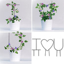 Metal Flower Vegetables Plant Support Fixing Rod Climbing Holder Climbing Frame