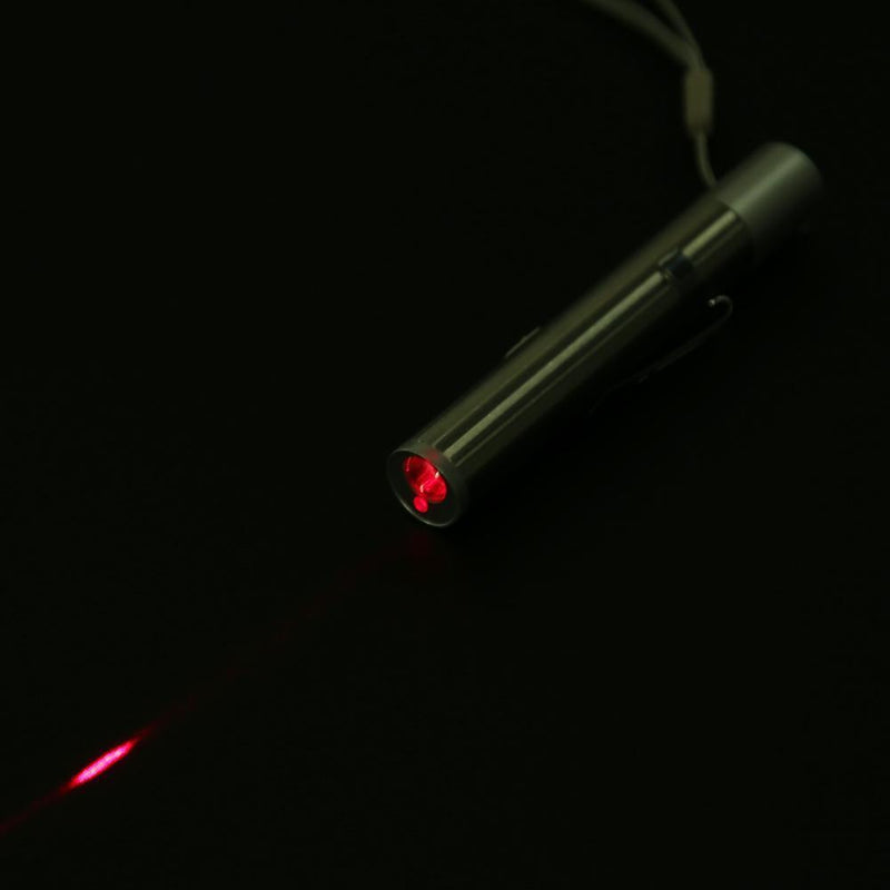 2 in 1 USB Rechargeable Mini Red Pointer Pen with White LED Light Torch