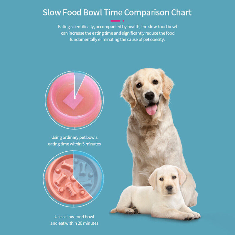 Pet Slow Eating Dog Bowl Slow Anti Choking Puppy Eating Dish Feeder Food Bo