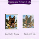 5D DIY Full Drill Diamond Painting Dog Garden Cross Stitch Embroidery Kits