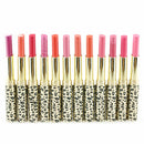 12 Colors Leopard Lipsticks Makeup-Lasting Lip Gloss Set Cosmetic Makeup V5K3