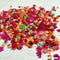 Small Star Dried Flower Head Daizy DIY Nail Art Filling Decor Hand Craft I6A1