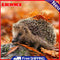 5D DIY Full Round Drill Diamond Painting Hedgehog Embroidery Craft Needlework