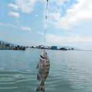 Automatic Fishing Hook Strong Force Spring Carp Fish Fast Catch Tool (Set) Newly