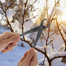 Gardening Maintenance Tools Bonsai Ball Joint Shears Cutters Round Nose Pliers