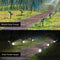 Waterproof LED Solar Lawn Lamp Spike Light Control Garden Path (Cool White)