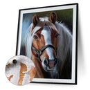 Wild Animal Oil Paint by Numbers Hand Painted Frameless Picture Home Ornament