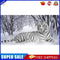 White Tiger Oil Paint By Numbers Kits Canvas Picture DIY Wall Art Craft Set