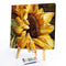 Sunflower 20X20cm Frameless Oil Paint By Numbers DIY Painting Crafts (S558)