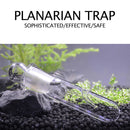 Crystal Glass Aquarium Planarian Worm Aquatic Cleaner Flatworm Pest Catch T