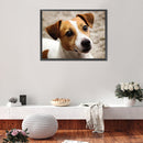 5D DIY Diamond Painting Kits Grey White Dog Full Round Drill Home Decoration Set